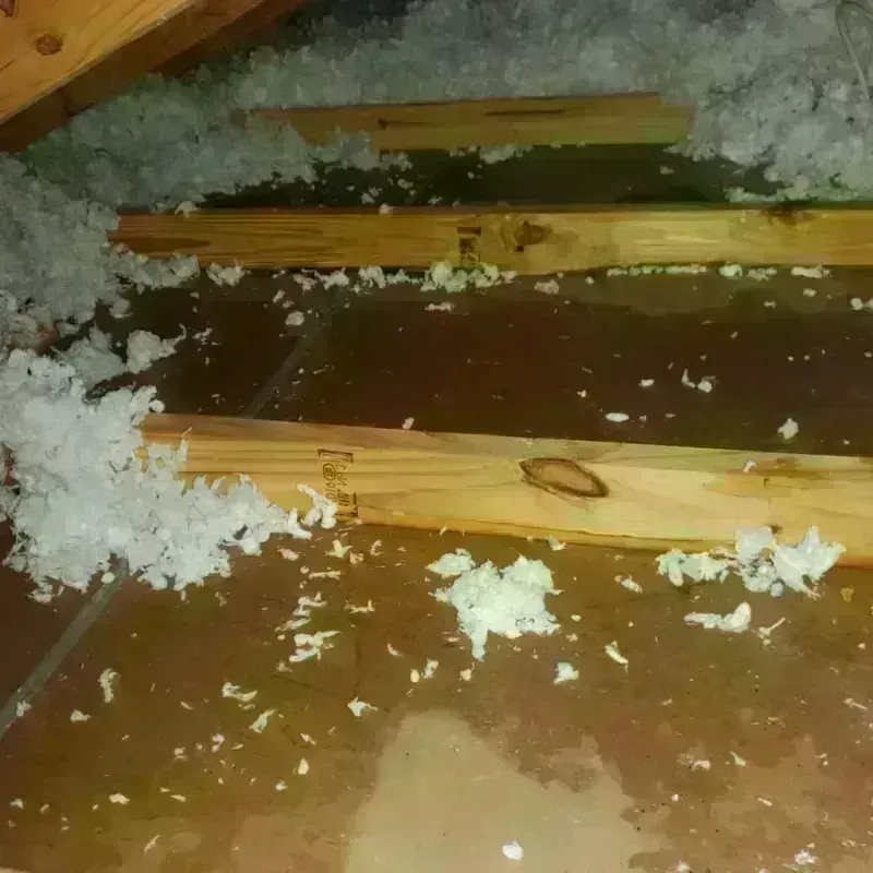 Attic Water Damage in West Lafayette, OH