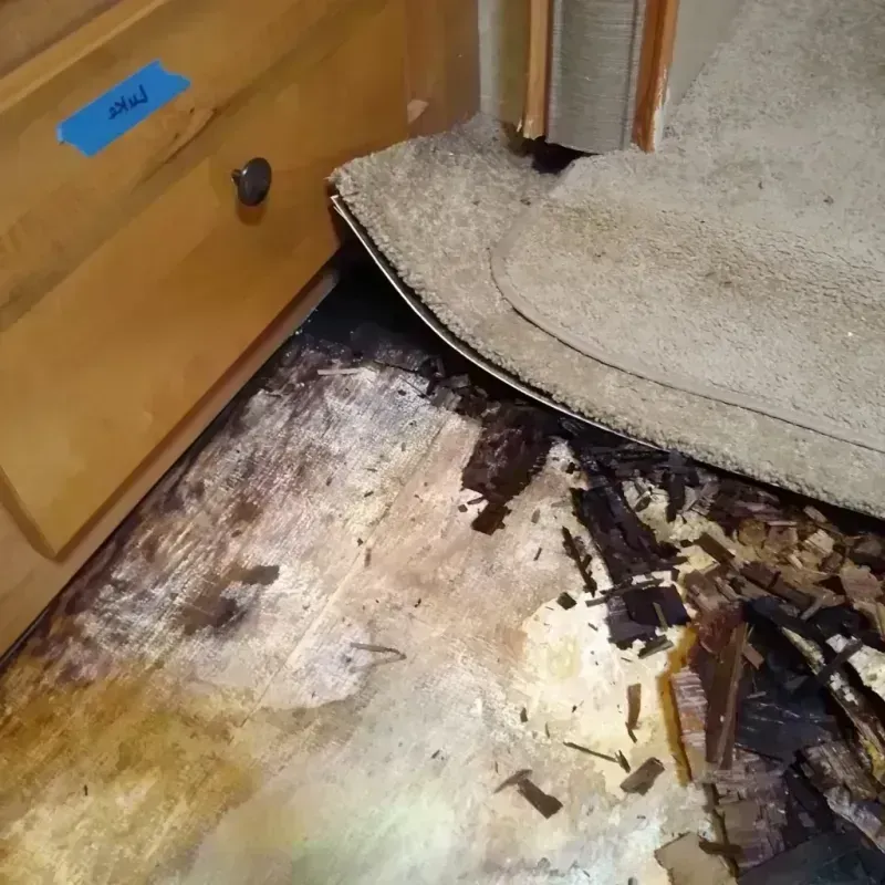 Wood Floor Water Damage in West Lafayette, OH